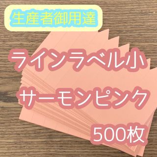 ラインラベル 小 肌 500枚 園芸カラーラベル 多肉植物 エケベリア (その他)