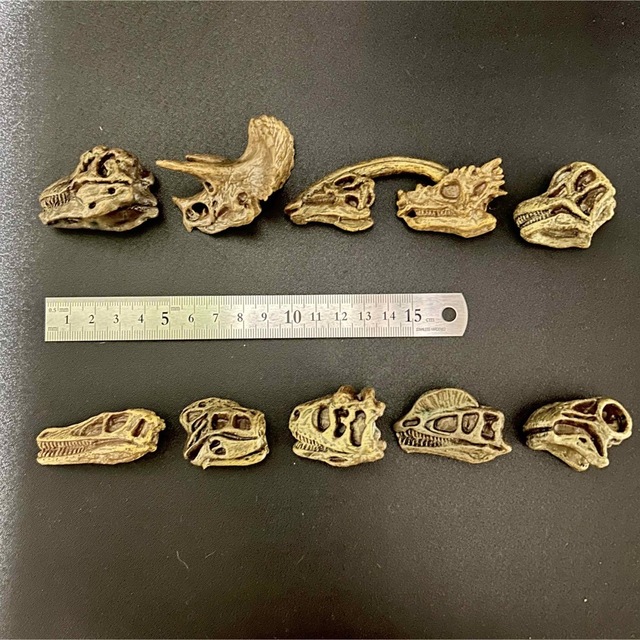 恐竜化石博物館 ガチャ 10個セット エンタメ/ホビーのおもちゃ/ぬいぐるみ(その他)の商品写真
