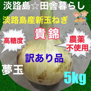 淡路島産新玉ねぎ5kg 貴錦 訳あり品 農薬不使用 高糖度 夢玉(野菜)