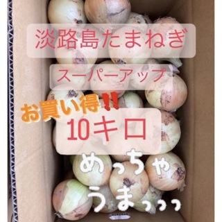 新たまねぎ　淡路島　10キロ(野菜)