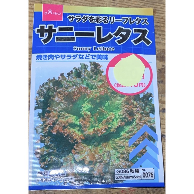 サニーレタス(無農薬)の根付き小苗 １０株 食品/飲料/酒の食品(野菜)の商品写真