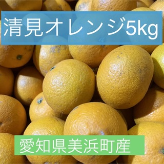 清見オレンジ5キロ 愛知県美浜町産(フルーツ)