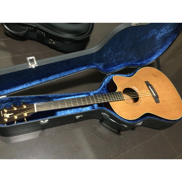 極上美品!K.yairi BM65CE UM 限定品!吉岡里帆-