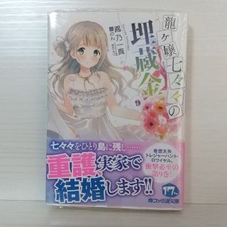 龍ケ嬢七々々の埋蔵金 ９(文学/小説)