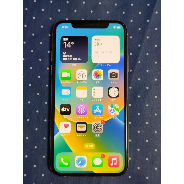 iPhone Xs Silver 256 GB