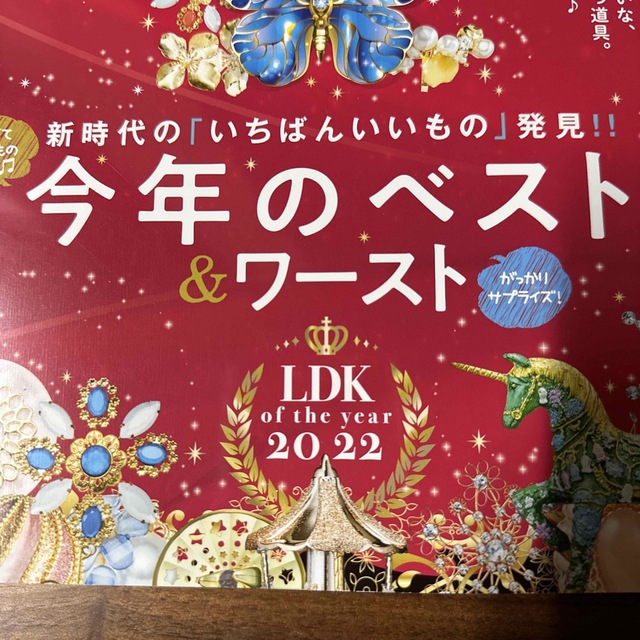 LDK (エル・ディー・ケー) 2023年 01月号 エンタメ/ホビーの雑誌(その他)の商品写真