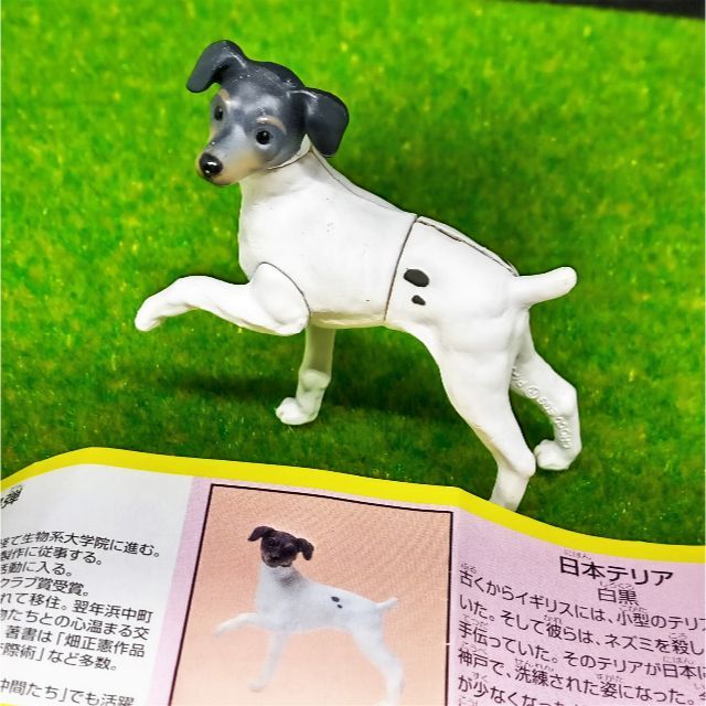 フルタ製菓 - チョコエッグ 食玩 ペット動物 第4弾 フルタ製菓 - チョコエッグ 食玩 ペット動物 第4弾