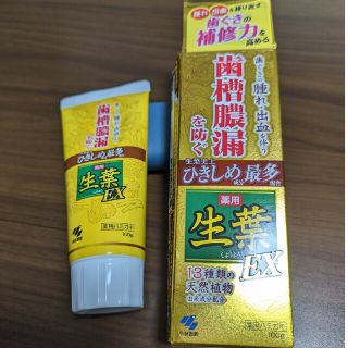 コバヤシセイヤク(小林製薬)の薬用ハミガキ 生葉EX(歯磨き粉)