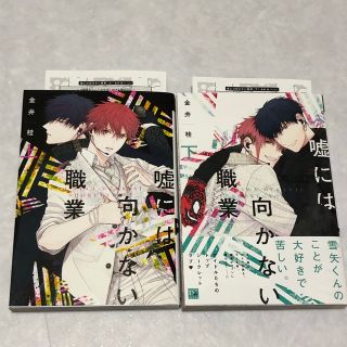 美品‼️ 金井桂⭐️嘘には向かない職業  上下セット＋特典ペーパー付(ボーイズラブ(BL))