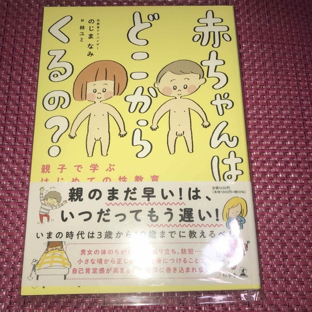 はじめてのからだと性の絵本『だいじだいじどーこだ？』『赤ちゃんはどこからくるの』 エンタメ/ホビーの本(住まい/暮らし/子育て)の商品写真