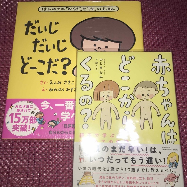 はじめてのからだと性の絵本『だいじだいじどーこだ？』『赤ちゃんはどこからくるの』 エンタメ/ホビーの本(住まい/暮らし/子育て)の商品写真