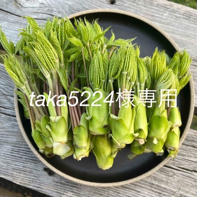 コシアブラ 食品/飲料/酒の食品(野菜)の商品写真