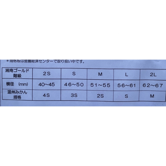 湘南ゴールド　箱込み3kg 2S〜Ｌ　小田原・片浦産　農薬：栽培期間中不使用 食品/飲料/酒の食品(フルーツ)の商品写真