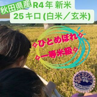 ★令和4年 ‪新米  ひとめぼれ25kg  一等米級 秋田県産 産地直送★ (米/穀物)