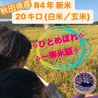 ★令和4年 ‪新米  ひとめぼれ20kg  一等米級 秋田県産 産地直送★ (米/穀物)