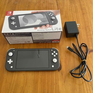 Nintendo Switch - Nintendo Switch Liteグレー