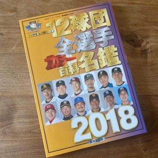 プロ野球12球団全選手カラー百科名鑑 完全保存版 ２０１８　美品(趣味/スポーツ/実用)