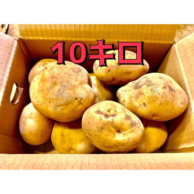 じゃがいも 10キロ　長崎県島原半島産　出島　デシマ　産地直送 食品/飲料/酒の食品(野菜)の商品写真