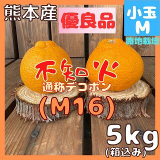 不知火  優良品 M16 小玉M5kg(デコポン)(フルーツ)