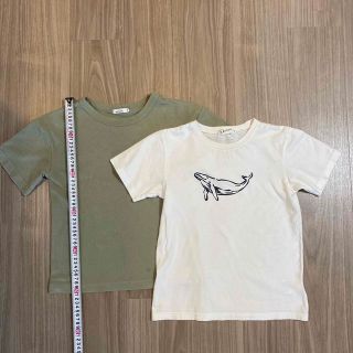 Dessin - Tシャツ2セット 男児 140