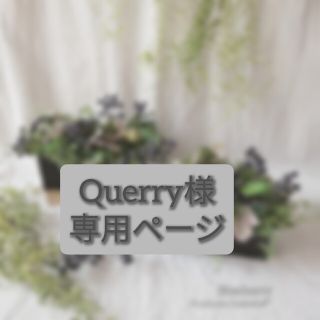 ＊Querry様専用ページ(その他)