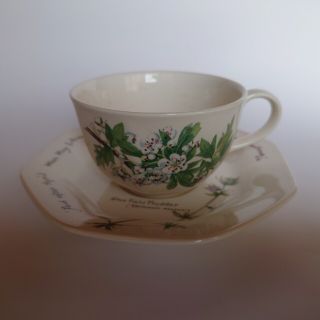 ノリタケ(Noritake)のノリタケ　コーヒーカップ　2客セット(食器)