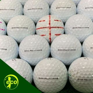 タイトリスト(Titleist)のタイトリスト Pro V1 21年モデル ホワイト ロストボール 30球 B(その他)