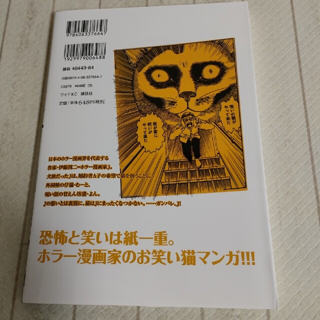 伊藤潤二の猫日記よん＆む－ エンタメ/ホビーの漫画(その他)の商品写真