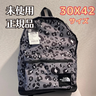 ザノースフェイス(THE NORTH FACE)の購入者様、専用12(リュック/バックパック)