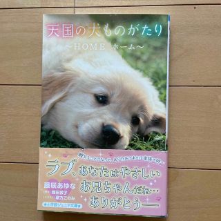 ショウガクカン(小学館)の天国の犬ものがたり～ＨＯＭＥ　ホーム～(絵本/児童書)