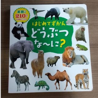 はじめてずかん どうぶつな～に？(絵本/児童書)