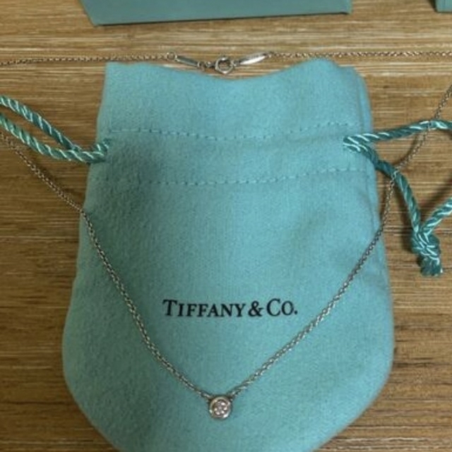 Tiffany バイザヤードネックレス