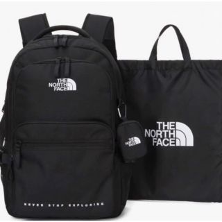 ザノースフェイス(THE NORTH FACE)のTHE NORTH FACE DUAL POCKET BACKPACK(バッグパック/リュック)