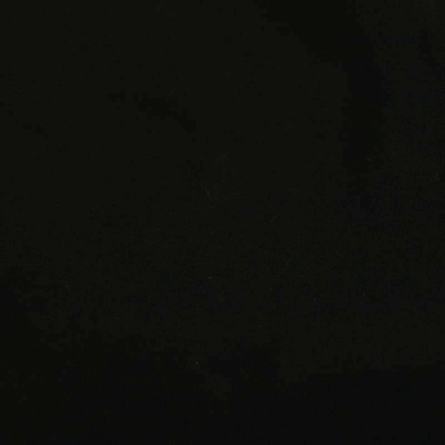 Plage(プラージュ)のプラージュ プルオーバー カットソー チュニック 長袖 クルーネック 黒 レディースのトップス(カットソー(長袖/七分))の商品写真