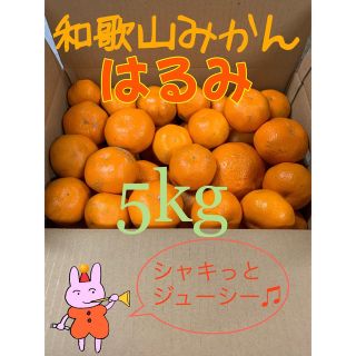 ☆★☆和歌山みかん◯はるみ◯5kg☆★☆(フルーツ)