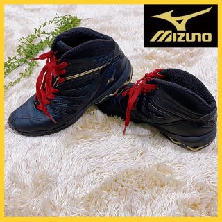 ミズノ(MIZUNO)の【美品】MIZUNO ミズノ　ウェーブダイバース　スニーカー　24.5cm(トレーニング用品)