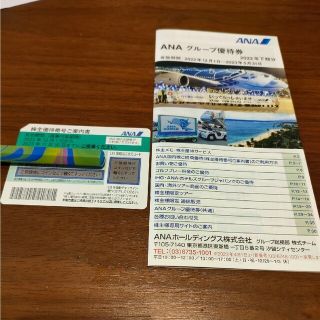 東急、ANA　株主優待券(その他)
