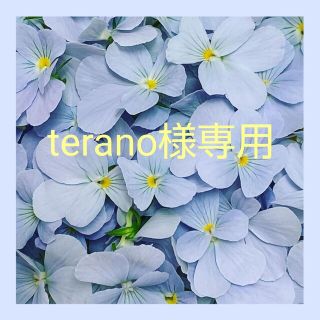 terano様専用(その他)