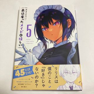 最近雇ったメイドが怪しい ５(その他)