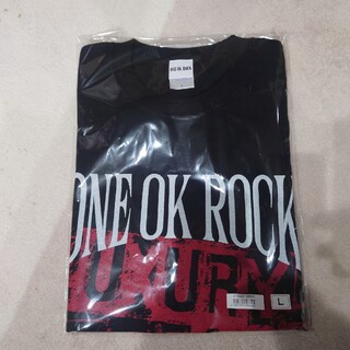 ワンオクロック(ONE OK ROCK)のONEOKROCK 2023 DOME Tシャツ(Tシャツ/カットソー(半袖/袖なし))