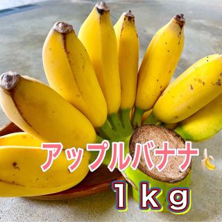 沖縄県産 無農薬 アップルバナナ(フルーツ)