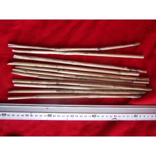 カヤ（ススキ）製の野菜苗用支柱　園芸支柱　軽くて丈夫な支柱 約30㎝長さ　10本(野菜)