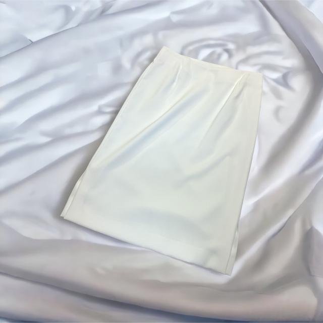 ADORE(アドーア)の新品未使用タグ付き　ADORE 透け感抜群のエフォートレスなロングスカート レディースのスカート(ロングスカート)の商品写真
