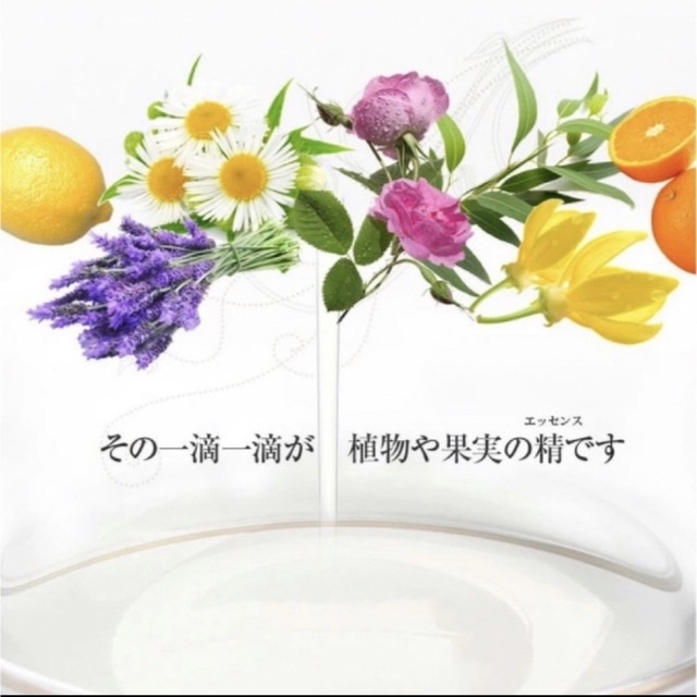 🪴ユーカリグロブルス🌿10ml 🍃お得☘️スーッとシャープな香り コスメ/美容のリラクゼーション(エッセンシャルオイル（精油）)の商品写真