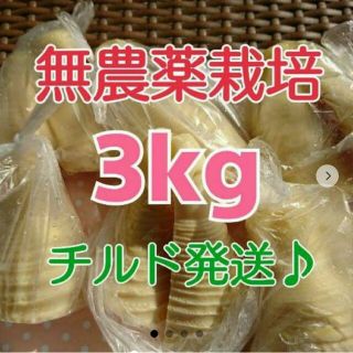 【クール便発送❗】和歌山県産 孟宗たけの子 水煮 3kg＋500g増量‼️‼️(野菜)