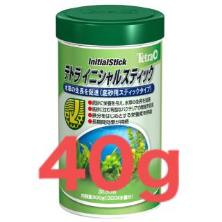 テトラ(Tetra)のテトラ　イニシャルスティック　40g(アクアリウム)