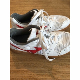 みんみ様専用 ミズノ 体育館シューズ 室内用 運動靴 24.5(スニーカー)