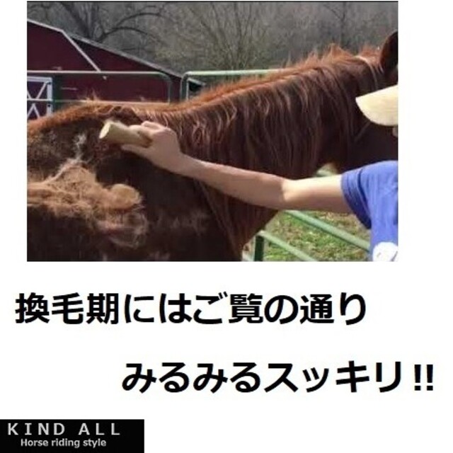 活躍の季節到来！愛馬のお手入れに　グルーミングコーム　乗馬用品　乗馬　馬術　犬