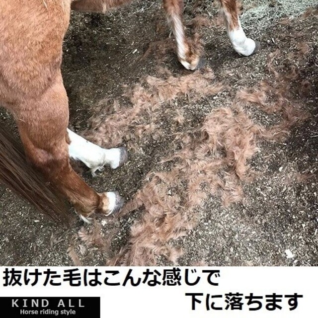 活躍の季節到来！愛馬のお手入れに　グルーミングコーム　乗馬用品　乗馬　馬術　犬