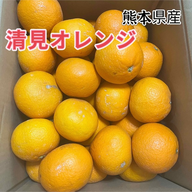 清見フルーツ　熊本県産　箱込み5kg  オレンジ　柑橘 食品/飲料/酒の食品(フルーツ)の商品写真